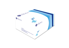 NaC20130105_DS_Lolina? Human BM-MSC StemKeep? all-around supplement kit，Xeno Free